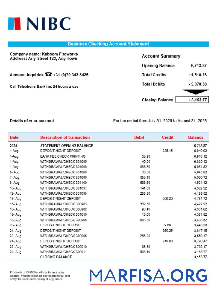 Realistic NIBC Bank business organization checking statement Word and PDF format template
